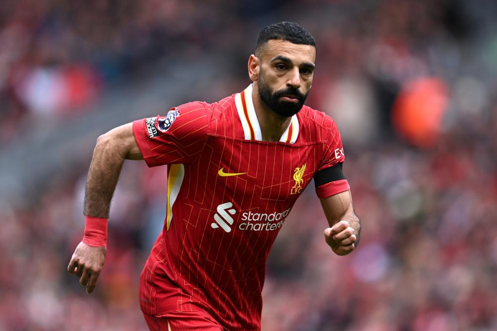 追求新生的 追求新生的